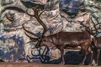 0676-reindeer