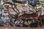 0679-reindeer