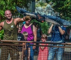 0485-air show - harpyry