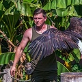 0635-air show - bald eagle