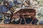 0384-zoom gelsenkirchen - reindeer