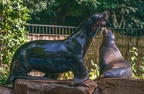 092-california sea lion