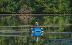 0013-rhein sieg district-heron on pond robot