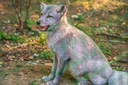 0339-zoo osnabrueck-hudson-bay-wolf