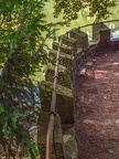 054-dortmund romberg park botanical garden