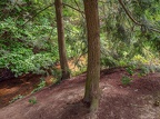 058-dortmund romberg park botanical garden