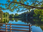 244-dortmund romberg park botanical garden