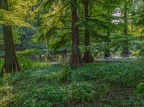 123-dortmund romberg park botanical garden