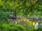 131-dortmund romberg park botanical garden