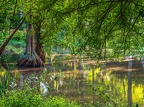 132-dortmund romberg park botanical garden