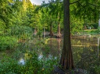 140-dortmund romberg park botanical garden