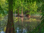 144-dortmund romberg park botanical garden