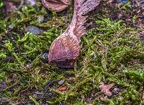 0098-essen grugapark botanical garden