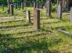 135-duesseldorf - north cemetery