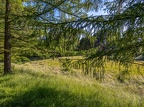 199-dortmund - main cemetery