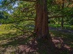 0022-dortmund - main cemetery