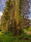 032-essen - park cemetery-ii