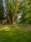 039-essen - park cemetery-ii