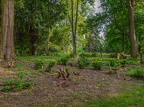 042-essen - park cemetery-ii