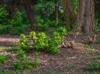 043-essen - park cemetery-ii