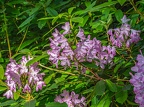 044-essen - park cemetery-ii