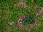 048-essen - park cemetery-ii