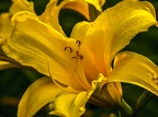 116-essen grugapark botanical garden-ii