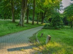 007-052-essen - cemetery am hallo