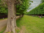 029-051-duesseldorf - benrath castle and castle park