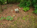 043-essen - southwest cemetery