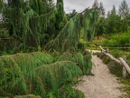 064-dortmund romberg park botanical garden
