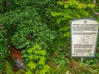 191-dortmund romberg park botanical garden