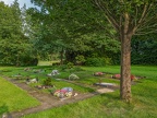 026-essen - cemetery on hellweg - cemetery
