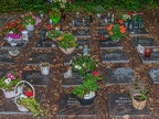 003-essen - evangelic cemetery freisenbruch