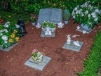 228-essen - cemetery bredeney