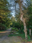 095-gelsenkirchen - main cemetery