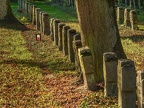 103-gelsenkirchen - main cemetery