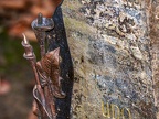 193-gelsenkirchen - main cemetery
