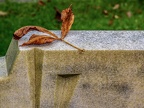 207-gelsenkirchen - main cemetery