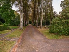 332-gelsenkirchen - main cemetery