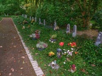 352-gelsenkirchen - main cemetery