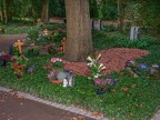 356-gelsenkirchen - main cemetery