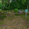 379-gelsenkirchen - main cemetery