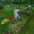 382-gelsenkirchen - main cemetery