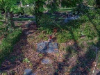 018-bochum - flower cemetery