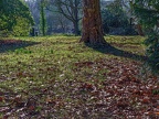 134-bochum - flower cemetery