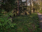 248-dortmund - east cemetery