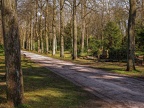 200-duisburg - cemetery sternbuschweg