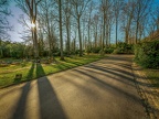 005-essen - city forest cemetery kettwig