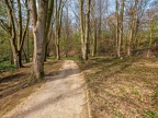 063-duesseldorf - forest cemetery gerresheim